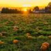 Common Misconceptions About Farmers Flood Insurance and the Truth Behind Them