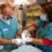 The Importance of Seeking Immediate Care for Emergency Dental Extraction