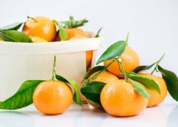 How Hybrid Citrus Fruits Can Help You Stay Refreshed During Hot Days