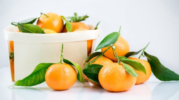 How Hybrid Citrus Fruits Can Help You Stay Refreshed During Hot Days