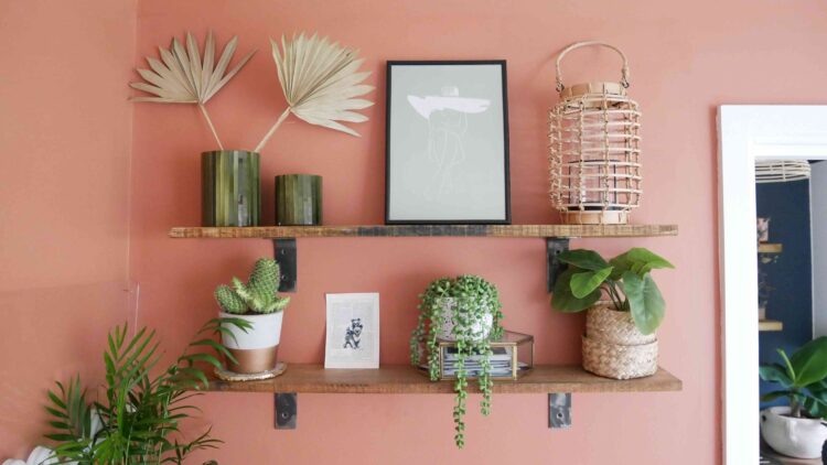 Creating a Simple and Stylish DIY Plant Shelf for Small Spaces