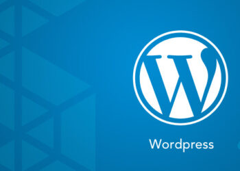 8 Essential Features to Look for in WordPress Website Design Packages