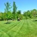 From Maintenance to Landscaping: The Complete Guide to Commercial Lawn Care