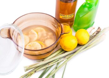 DIY Organic Mosquito Spray: How to Make Your Own at Home