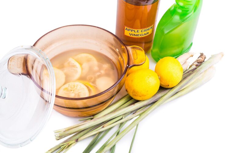 DIY Organic Mosquito Spray: How to Make Your Own at Home