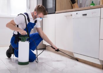 A Guide to Choosing the Best Pest Exterminator Tampa Service for Home