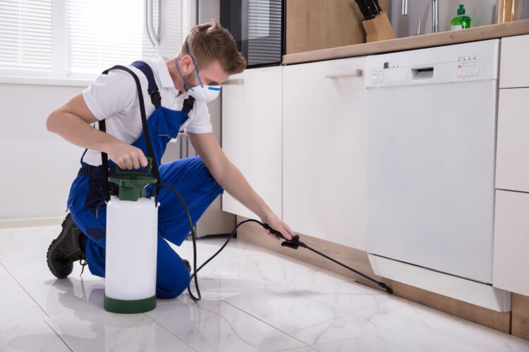 A Guide to Choosing the Best Pest Exterminator Tampa Service for Home