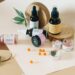 Why Every Dog Owner Should Consider CBD Bundles for Their Furry Friends