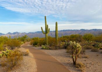 A Guide to the Best Places to Live in Arizona for Retirees