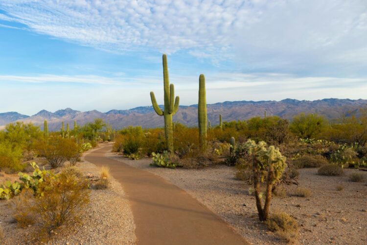 A Guide to the Best Places to Live in Arizona for Retirees
