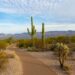 A Guide to the Best Places to Live in Arizona for Retirees