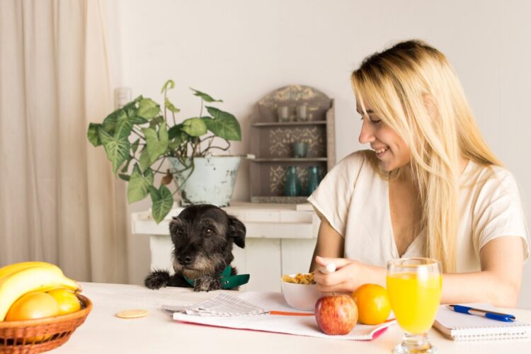 The Importance of High-Quality Nutrition for Pets