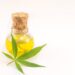 The Top Benefits of Using Cannabis Oil Pens for Consumption