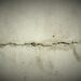 Comparing Different Methods for Leaking Basement Wall Repair