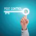 Dealing with the Itch: Comparing the Symptoms of Bed Bug vs Mosquito Bites