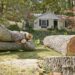 Top Signs It’s Time for Tree Removal and Stump Grinding Services