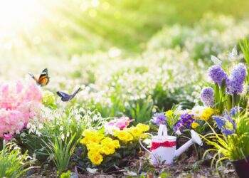 Maximizing Your Space on Small-Scale Spring Gardening Tips