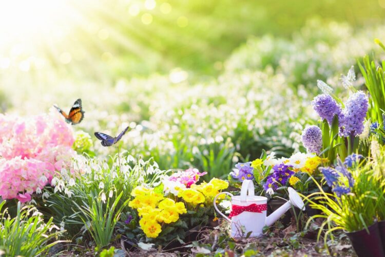 Maximizing Your Space on Small-Scale Spring Gardening Tips