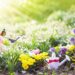 Maximizing Your Space on Small-Scale Spring Gardening Tips