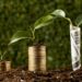 Green Bonds