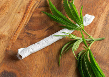 High-Quality Pre-Rolled Joints Pack Considerations: A Buyer’s Guide